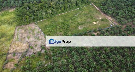 TANJUNG SURAT Kg Sg Pacat, Johor, Pengerang