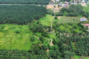 KOTA TINGGI Bukit Samsu