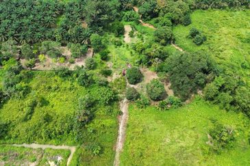 KOTA TINGGI Bukit Samsu