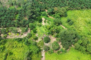 KOTA TINGGI Bukit Samsu