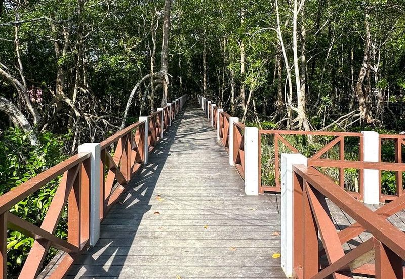 Massive Land Lot 200 acres in Tanjung Surat, Kota Tinggi