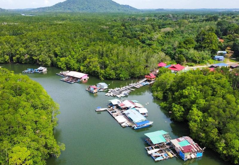 Massive Land Lot 200 acres in Tanjung Surat, Kota Tinggi