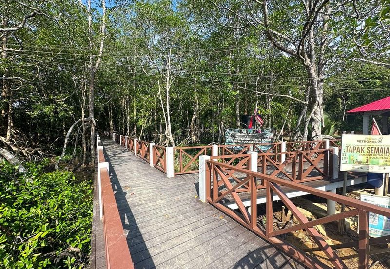 Massive Land Lot 200 acres in Tanjung Surat, Kota Tinggi