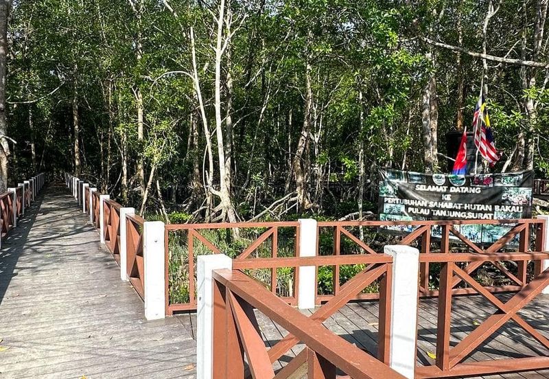 Massive Land Lot 200 acres in Tanjung Surat, Kota Tinggi