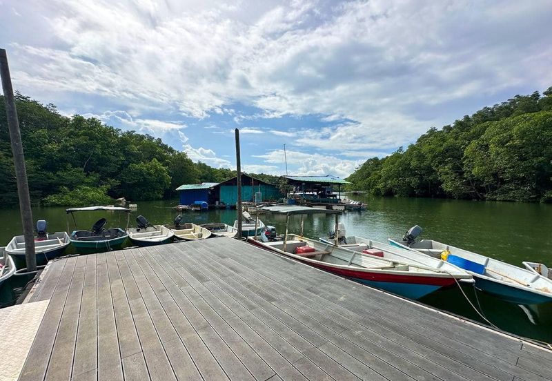 Massive Land Lot 200 acres in Tanjung Surat, Kota Tinggi