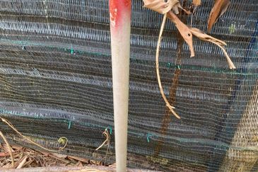 Freehold Agriculture Land for Sales