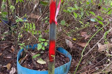 Freehold Agriculture Land for Sales