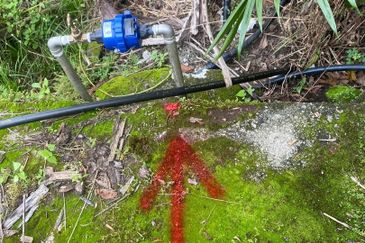 Freehold Agriculture Land for Sales