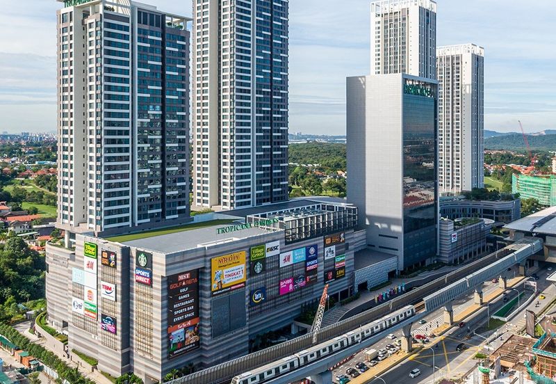 Dianthus @ Tropicana Gardens