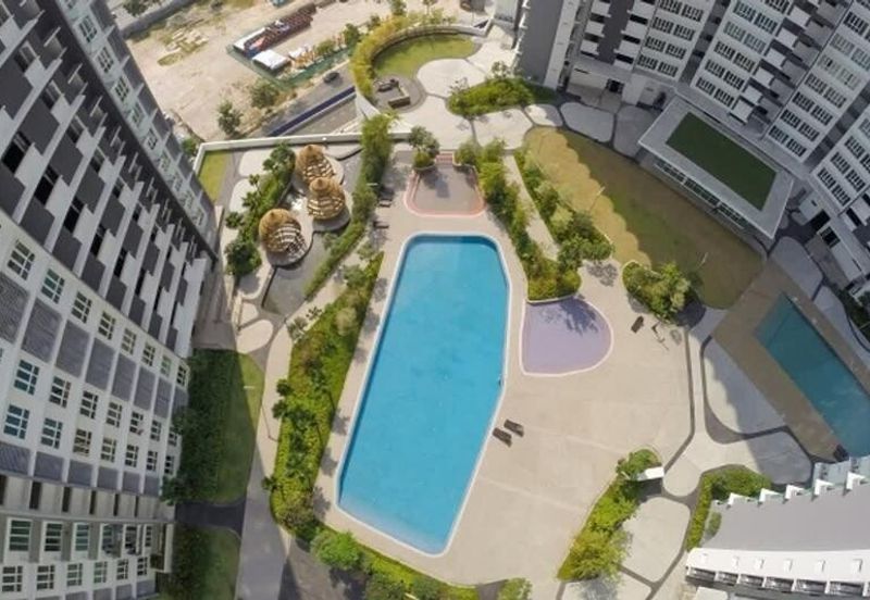 Dianthus @ Tropicana Gardens