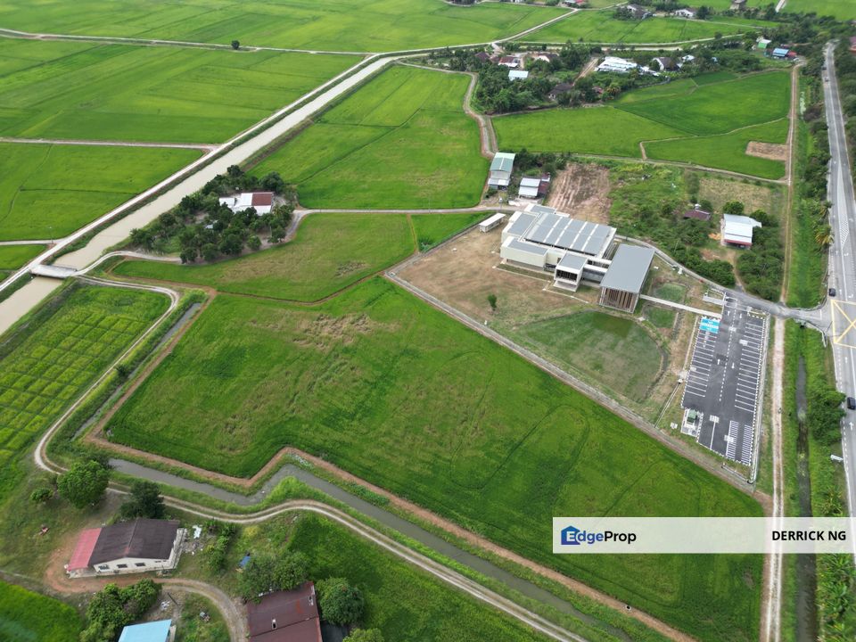 Guah Kepah Kampung Bumbong Lima , Tepi Archaelogy  , Facing Road Tanah First Grade Untuk Dijual, Penang, Penaga