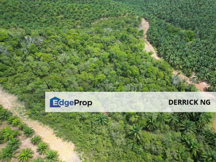 Bedong To Bukit Selambau Agricultural Land For Sale, Kedah, Sungai Petani