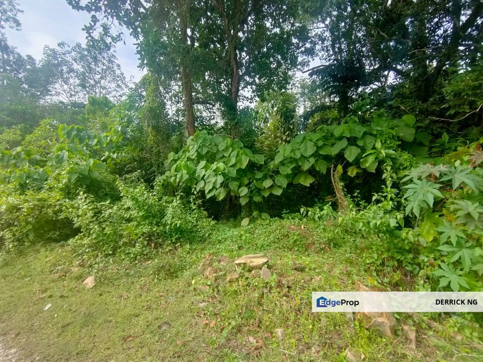 Gurun Agricultural Land Zoning Perumahan For Sale 42.5 Acres Rm7.55 sqft, Kedah, Kuala Muda