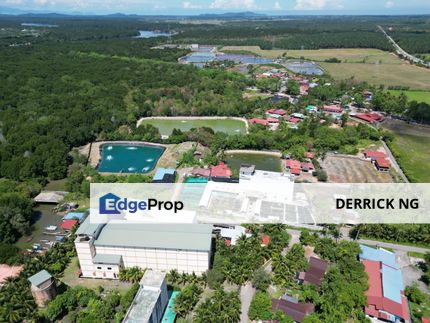 Semeling Bedong , Fish , Shirmp Farm , Bird Swift Nest , Aquacultural For Sale, Kedah, Bedong