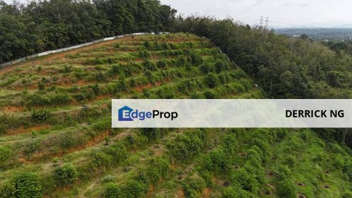 Gurun Durian Farm Agricultural Land 600 Tree Durian Free Hold , Got Access Road , Kedah, Kuala Muda