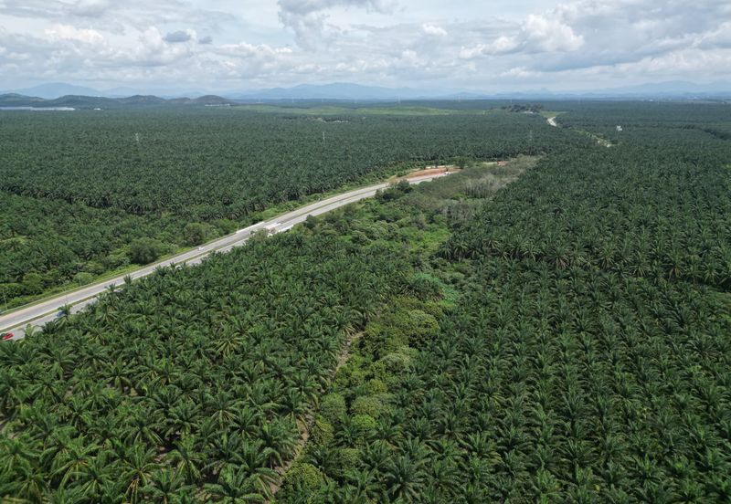 Jalan Puteri Jaya - Jalan Sidam Kiri