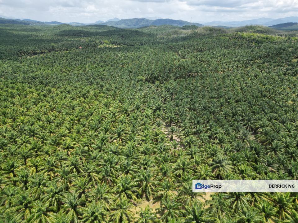 Zoning Residential , Pokok Sawit Land Bandar Puteri Jaya To Sidam Road For Sale, Kedah, Sungai Petani