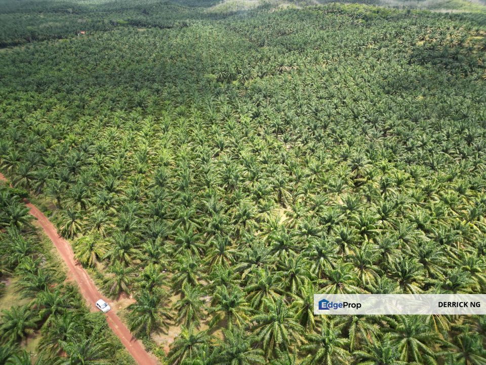 Zoning Residential , Pokok Sawit Land Bandar Puteri Jaya To Sidam Road For Sale, Kedah, Sungai Petani