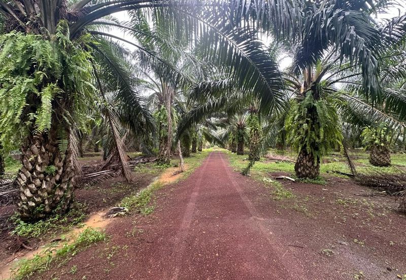 Jalan Kampung Paya Kerchut