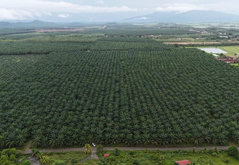 Jalan Kampung Paya Kerchut
