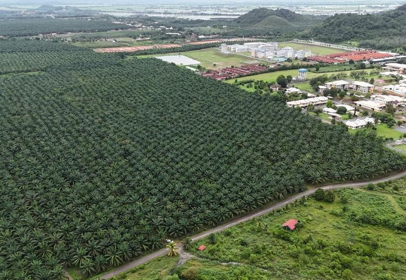 Jalan Kampung Paya Kerchut