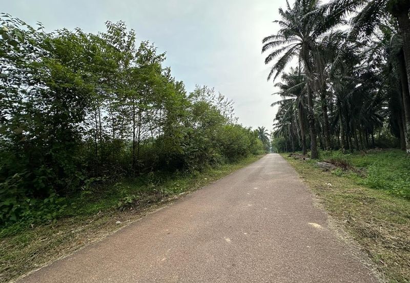 Jalan Kampung Paya Kerchut