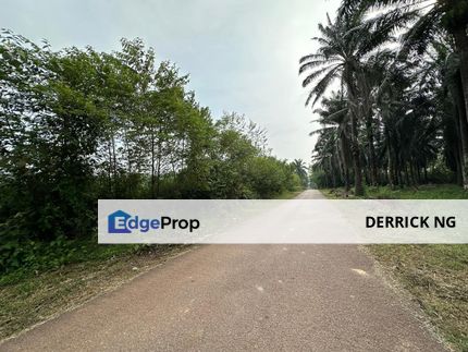 Pendang , Sebalah Maktab Rendah Sains Mara , Tanah Pokok Sawit , Free Hold Murah Untuk Dijual, Kedah, Pendang
