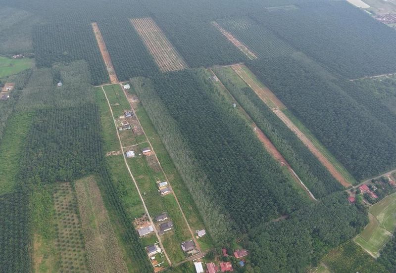 Jalan Kampung Paya Kerchut