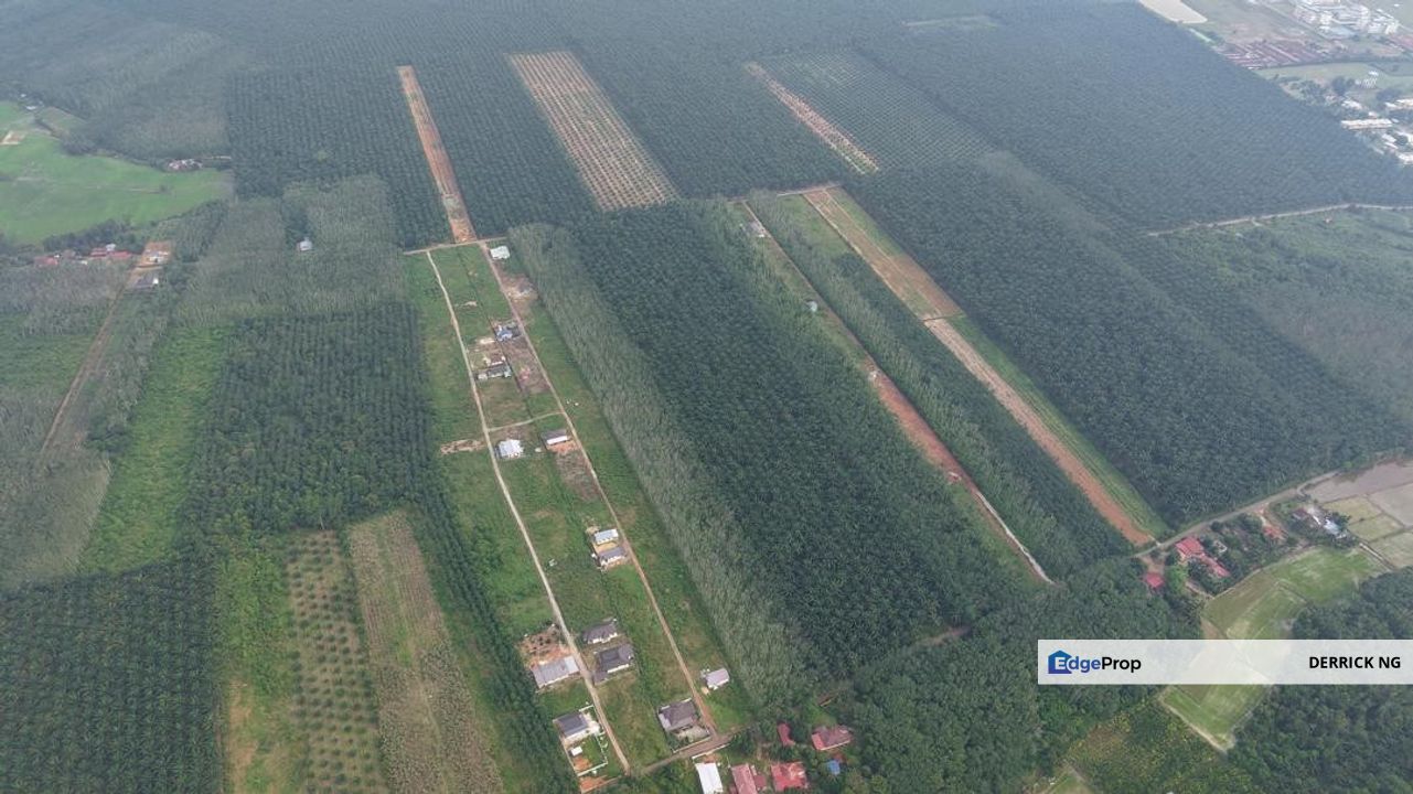 Pendang , Sebalah Maktab Rendah Sains Mara , Tanah Pokok Sawit , Free Hold Murah Untuk Dijual, Kedah, Pendang
