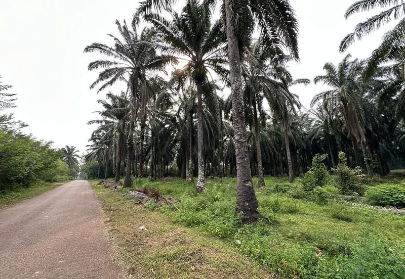 Jalan Kampung Paya Kerchut