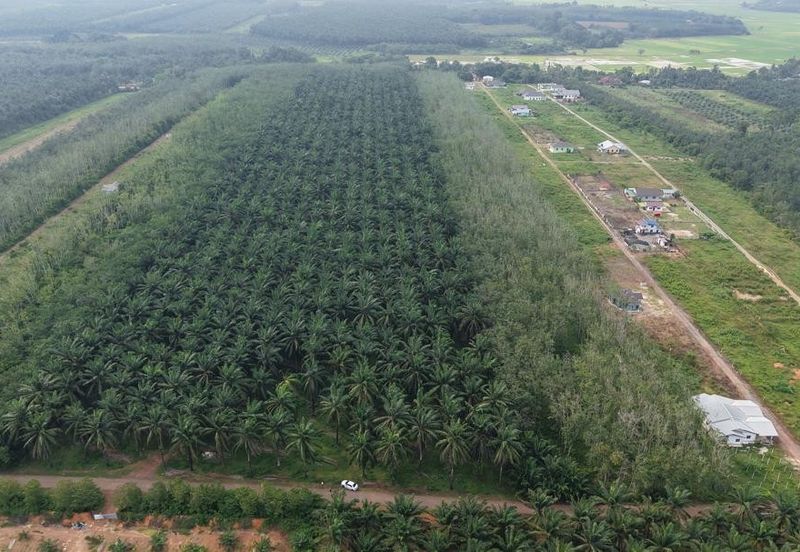 Jalan Kampung Paya Kerchut