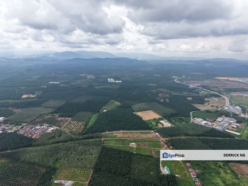 Gurun Batu 3 , Tanah Pokok Sawit Free Hold 2.13 Acres, Kedah, Kuala Muda