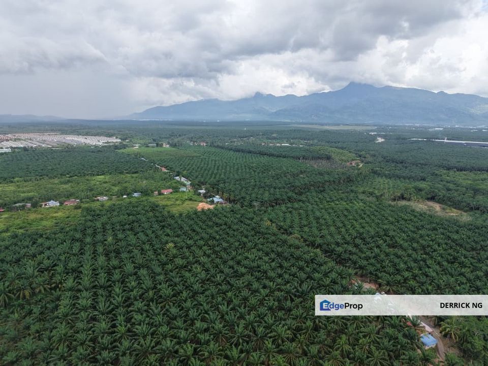 Gurun Batu 3 , Tanah Pokok Sawit Free Hold 2.13 Acres, Kedah, Kuala Muda