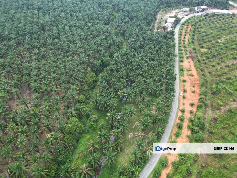 Jalan Bandar Puteri Jaya To Sidam Kiri Tanah Pokok Sawit Tepi Jalan Untuk Dijual, Kedah, Sungai Petani