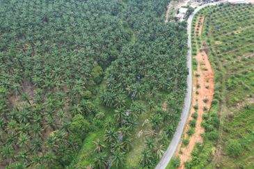 Jalan Puteri Jaya - Jalan Sidam Kiri