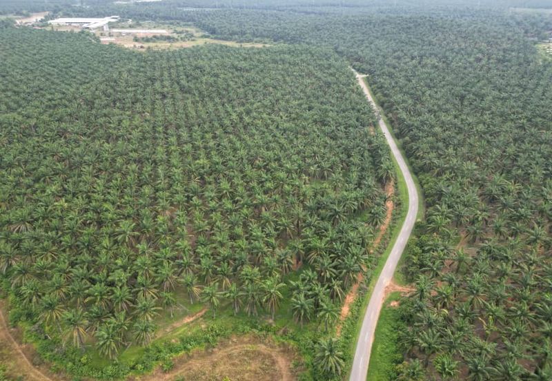 Jalan Puteri Jaya - Jalan Sidam Kiri