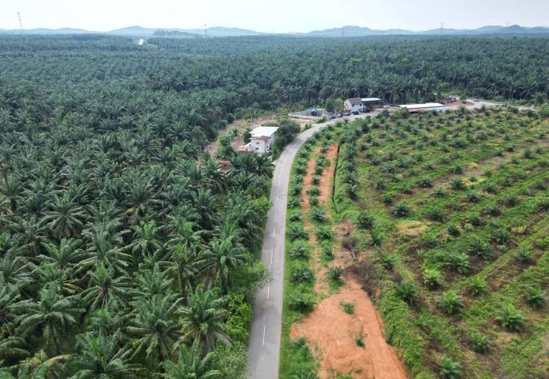 Jalan Puteri Jaya - Jalan Sidam Kiri