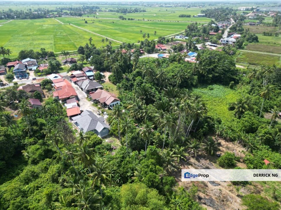 Kampung Permatang Rambai , Penaga Tanah Tepi Jalan, First Grade Untuk Dijual, Penang, Penaga
