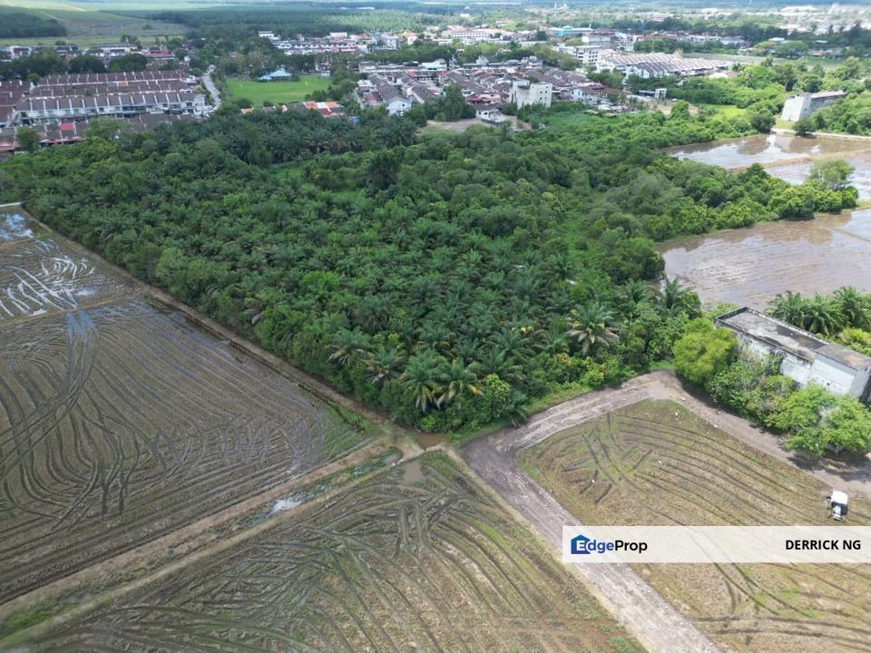 Padang Serai Near Rhb Bank Taman Damai Agricultural Land Pokok Sawit For Sale, Kedah, Kulim