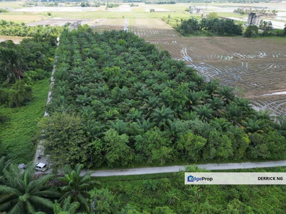 Padang Serai Near Rhb Bank Taman Damai Agricultural Land Pokok Sawit For Sale, Kedah, Kulim