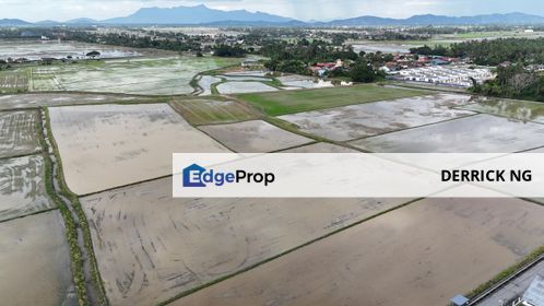 44 Acres Pulau Pinang Penaga Near Taman Penaga Agricultural Land For Sale, Penang, Penaga
