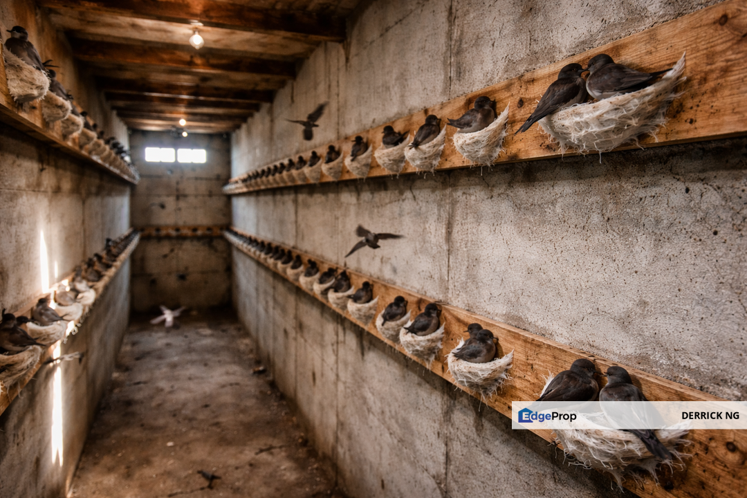 Taman Gurun Jaya 2 Stry Shoplot Swiftlet House  For Sale, Kedah, Gurun