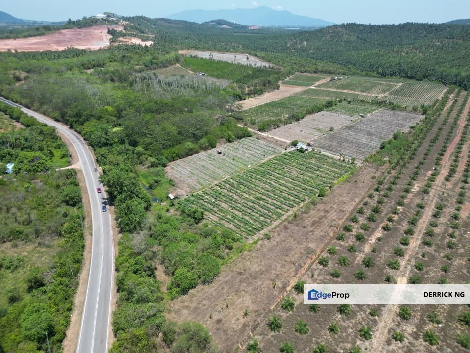 Pinang Tunggal Jalan Pantai Perai Tanah Tepi Jalan Untuk Jual, Kedah, Sungai Petani
