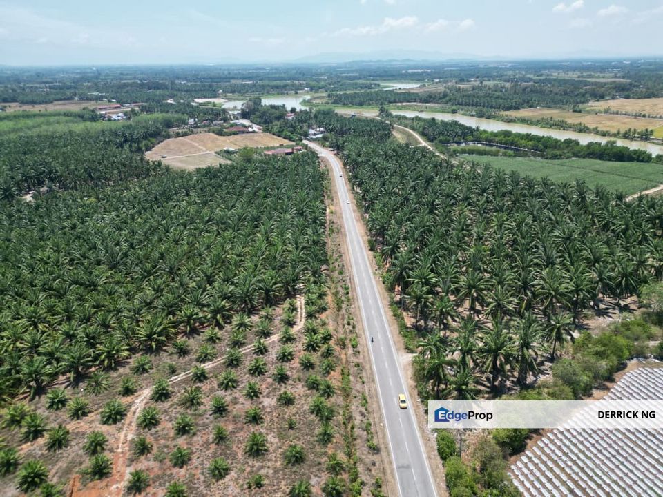 Pinang Tunggal Jalan Pantai Perai Tanah Tepi Jalan Untuk Jual, Kedah, Sungai Petani