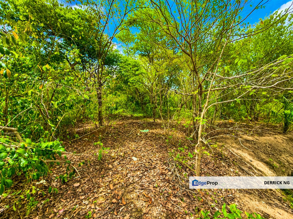 Pendang Kampung bukit Jambul Tanah Murah Freehold , Untuk Dijual, Kedah, Pendang
