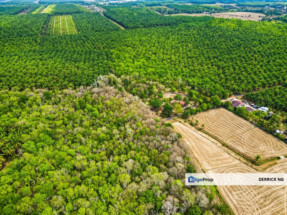Pendang Kampung bukit Jambul Tanah Murah Freehold , Untuk Dijual, Kedah, Pendang