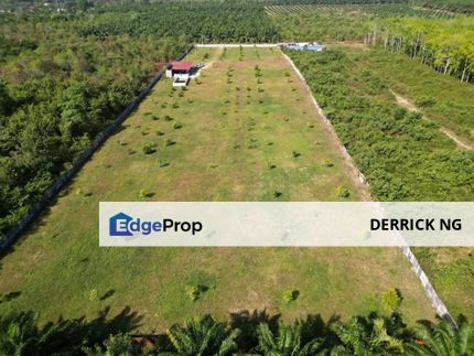 Bedong Sungai Petani Durian Farm  Agricultural Land  For Sale, Kedah, Sungai Petani