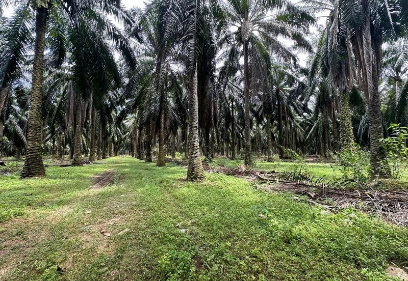 Jalan Puteri Jaya - Jalan Sidam Kiri