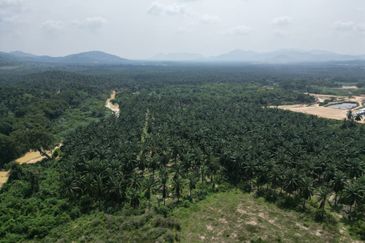 Kawasan Perindustrian Sungai Nal