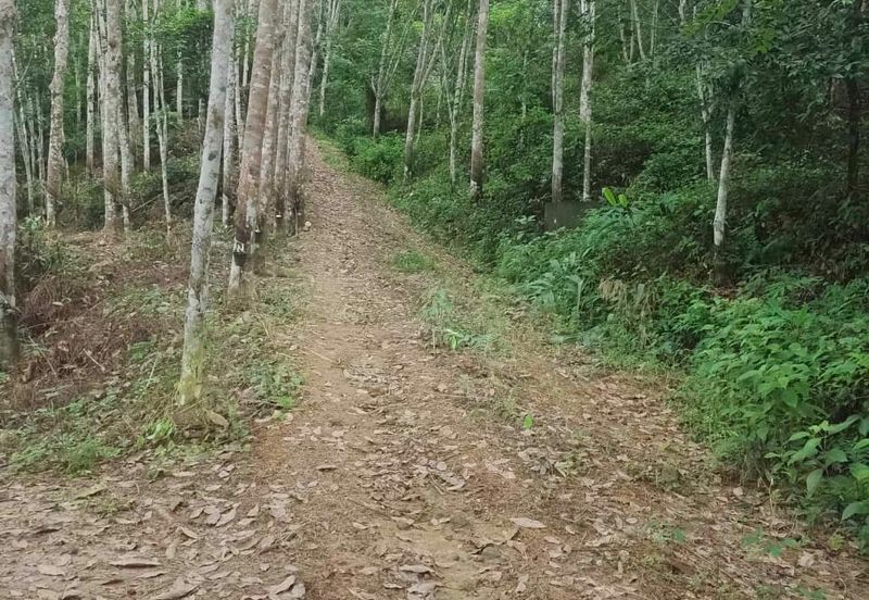 Kubang Pasu Wang Perah